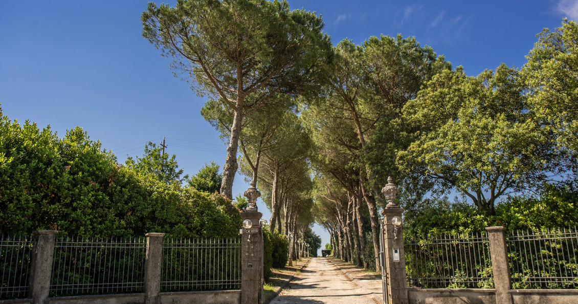 Villa Alfresco Casa Vacanza in Toscana con piscina _ ingresso cancello 